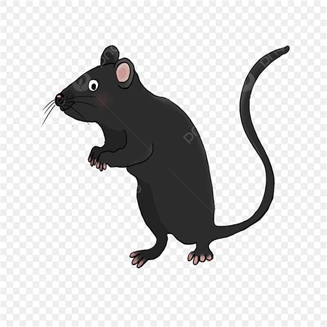 Mouse Rat Clipart Hd PNG, Black Mouse Rat Clipart, Mouse Clipart, Black ...