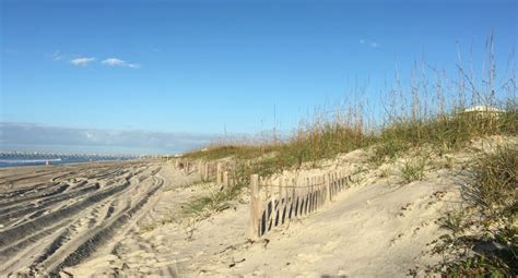 The Effect of Sand Fencing on the Structure of Natural Dune Systems - NCCOS Coastal Science Website