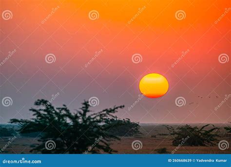 A Sunrise in rann of kutch stock image. Image of light - 260668639