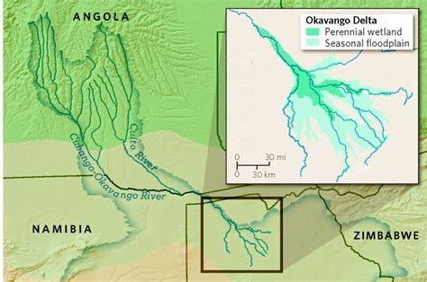 The Okavango Delta: An African Oasis