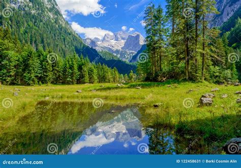 Alpine Lake Vorderer Gosausee Stock Image - Image of trees, green ...