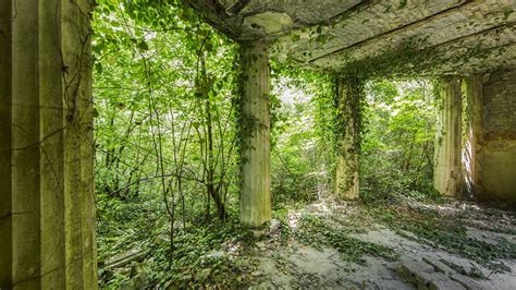 Photos of Mother Nature Conquering Abandoned Buildings