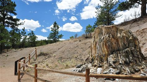 Night Sky Program Activities Planned at Florissant Fossil Beds National Monument on Friday, June ...