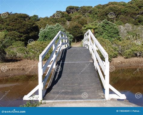 Wooden bridge over stream stock image. Image of whitianga - 74034049