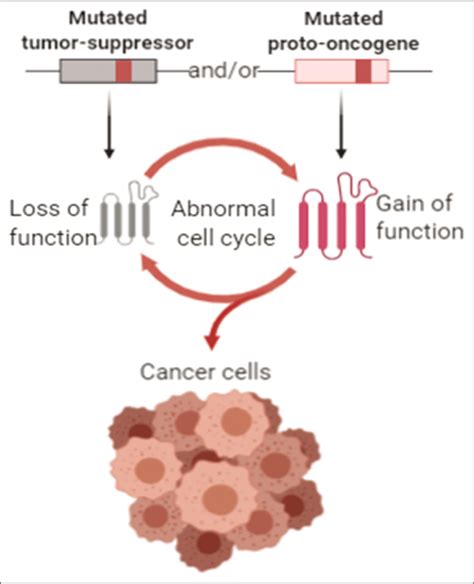 Driver mutations in oncogenesis - International Journal of Molecular and Immuno Oncology