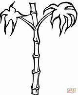 Bamboo coloring page  Free Printable Coloring Pages sketch template