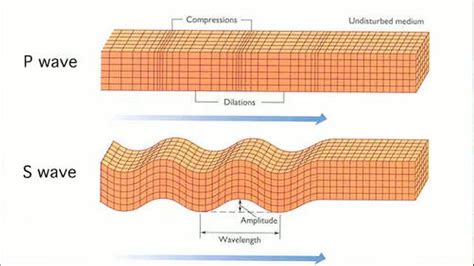 Demonstrating an Earthquake's Seismic Waves | Smithsonian Ocean Portal