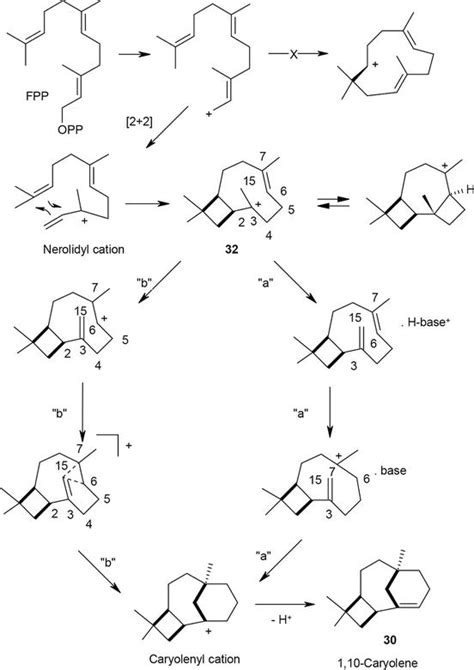 Recent Developments in Selected Sesquiterpenes: Molecular Rearrangements, Biosynthesis, and ...