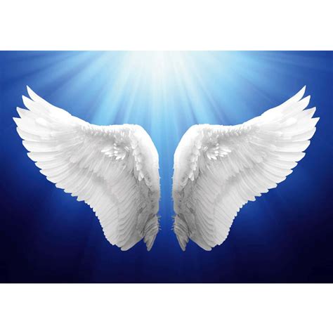 Download White Wings Angel Heaven Background | Wallpapers.com