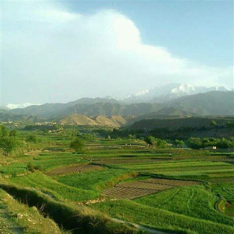 Nangarhar Province Afghanistan Armenia Azerbaijan, Backyard Vegetable Gardens, Guardian Angels ...