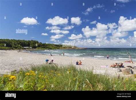 Beach Lilla Apelviken in Varberg, Halland, South Sweden, Sweden ...