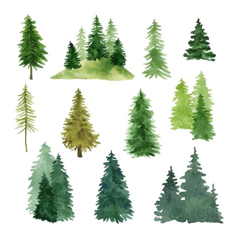 Premium Vector | Hand painted watercolor forest trees set