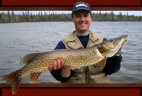 Best Pike Lures & Best Walleye Lures