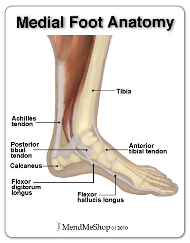 Tendinitis in the Foot