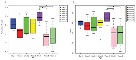 Changes in the gut microbiota during Asian particolored bat ...