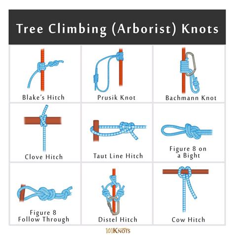 Rock and Tree Climbing Knots: Basic Guide with List in 2020 | Climbing knots, Knots, Rock ...