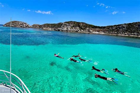 Rottnest Island Snorkelling Boat Tour - Klook