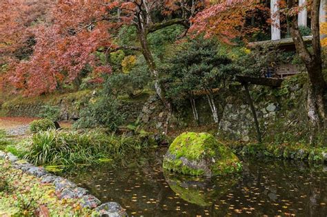 Premium Photo | Japanese garden in autumn