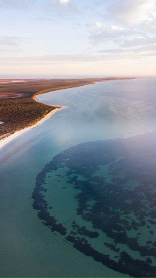 Love manatees and dugongs? Here’s where you can swim with them • Mares ...