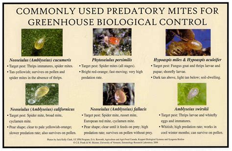 UVM IPM Greenhouse Pests, Biological Controls & Plant Mediated IPM Systems