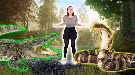 Reptile Exercise - Miss Linky Educational Videos | Highbrow