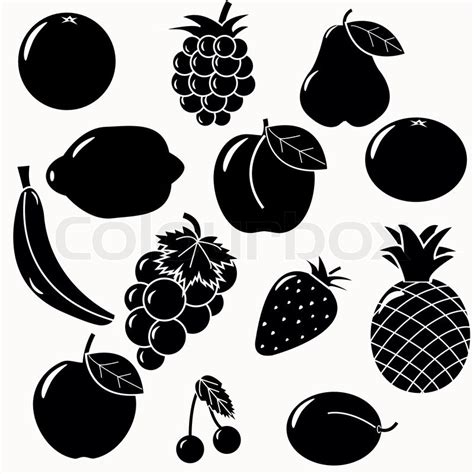 Fruits vector | Stock Vector | Colourbox