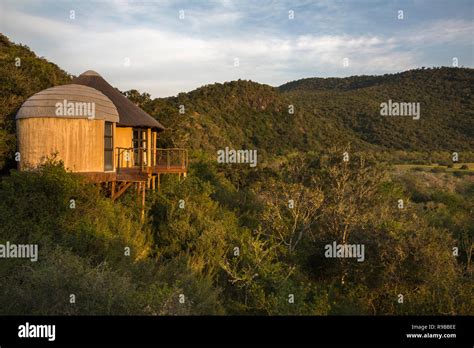 Nyathi rest camp, Addo Elephant National Park, Eastern Cape, South ...