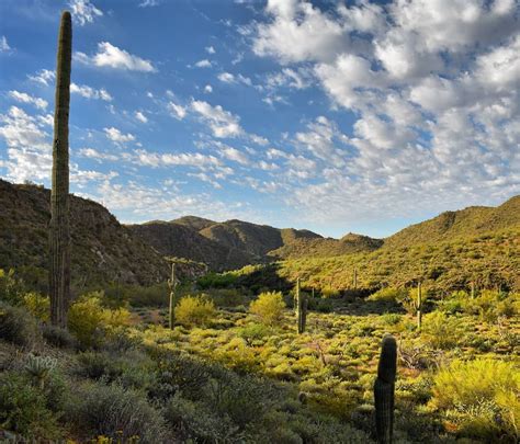 Discover 13 of the best hiking trails in and near Scottsdale, Arizona, in areas like Camelback ...