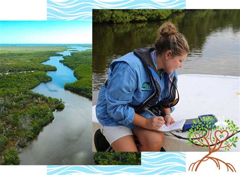 Rookery Bay National Estuarine Research Reserve | Who We Are