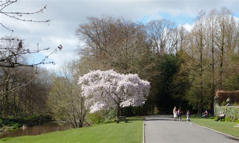 Pollok Park, Glasgow.