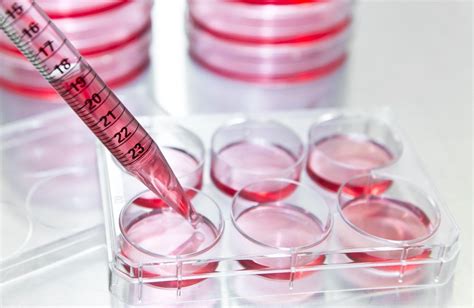 Understanding the role of recombinant insulin in cell culture systems ...