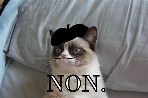 French Grumpy Cat--Non. | Lustig, Witzig, Katzen