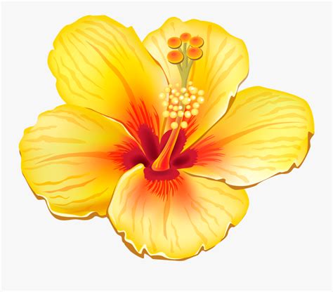 Hawaiian Flowers Clipart Realistic - Yellow Tropical Flower Png , Free ...