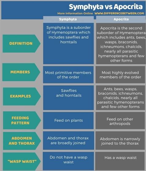 Difference Between Symphyta and Apocrita | Compare the Difference ...