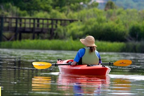 Kayaking at Meaher State Park - Encyclopedia of Alabama