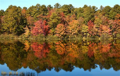 Alabama trees had a tough 2023 but plenty of fall foliage to see as ...