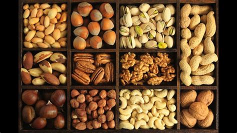 9 Healthy Nuts for Better Health - Top Nutrition Tips