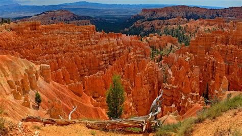 The Ultimate Guide To Camping In Bryce Canyon National Park - National Park Obsessed