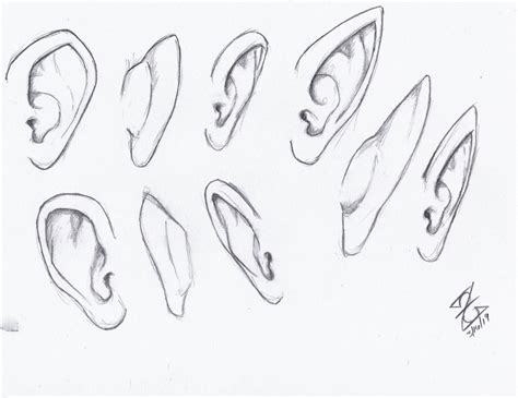 Anime Elf Ears Drawing - Elves Oreja Duende Orejas Pointed Mouth | Driskulin