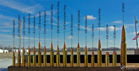 Calibres de fusil [Guía definitiva] – Tiradores de Precisión GC