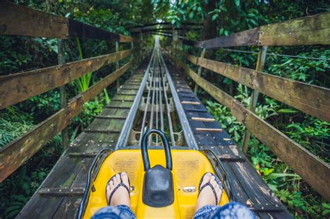 Enjoy the Famous Park City Alpine Slide! | Alpine Ski Properties