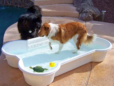 Bone Shaped Dog Pool