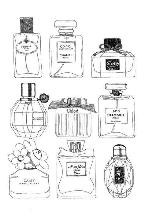 perfume | Perfume art, Bottle drawing, Chanel perfume bottle