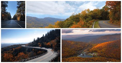 6 Phases of Fall Foliage in Asheville NC