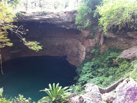 Cenote Zaci | Mexico vacation, Riviera maya, Vacation