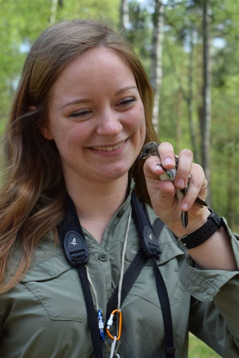 Ecologists help migratory birds adapt to climate change - South Africa Today