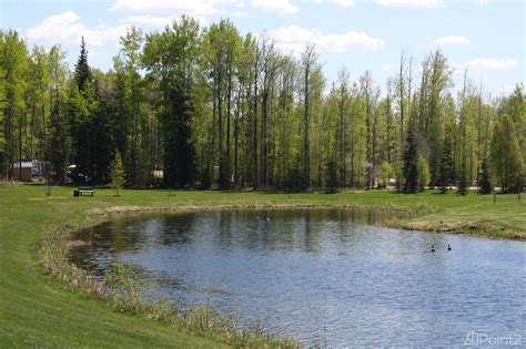 33 Silver Springs Dr. Buck Lake Ab., Buck Lake, AB For Sale | Ovlix