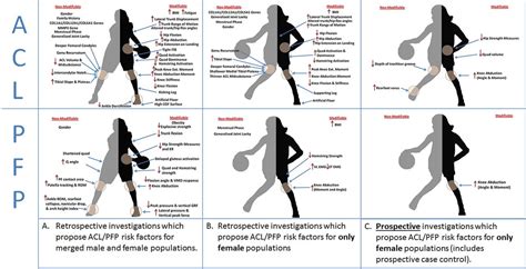 High knee abduction moments are common risk factors for patellofemoral pain (PFP) and anterior ...