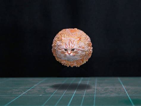 This Guy Turns Hilarious Cat Memes Into 3D Figurines