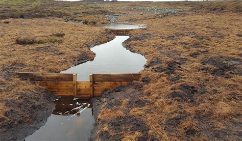 Festival Bowland 2020 - Peat Dams & Plug Planting: restoring Bowland's ...